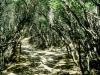 Loo-Errn Track, Wilson Promontery National Park