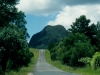 Glasshouse Mountains