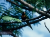 Paluma Range National Park