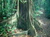 Paluma Range National Park