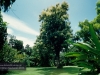 Flecker Botanic Gardens, Cairns