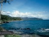 Daintree National Park