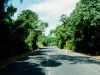 Daintree National Park