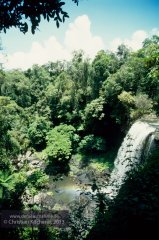 Wooroonooran National Park