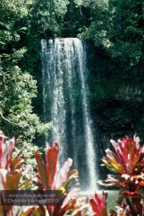 Wooroonooran National Park