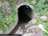 144_elcedrotour_tunnel1