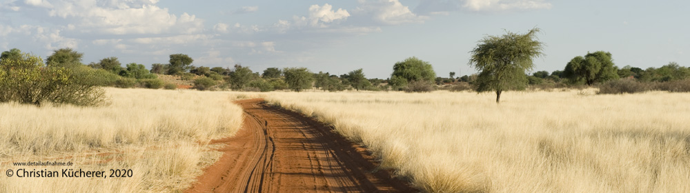 featured-image-Namibia-Reisebericht